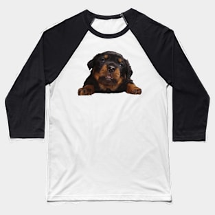 Cute Baby Rottweiler Isolated Cut Out Baseball T-Shirt